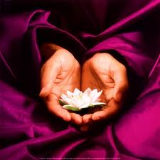 image main lotus